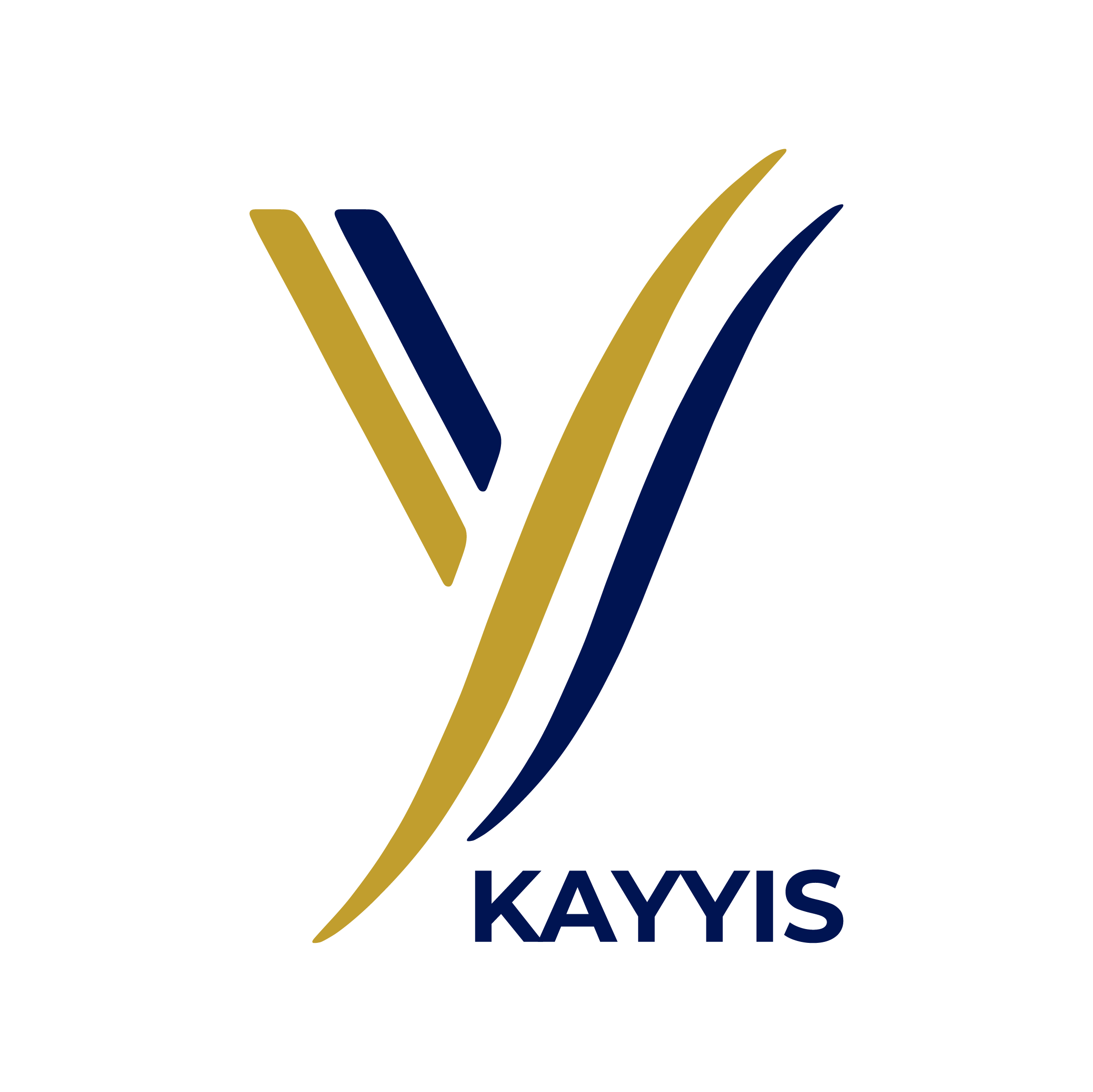 Kayyis Logo Finale_1. Profile 3